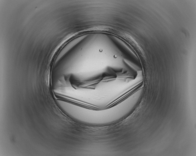 X0000113321276200910051117