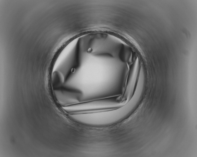 X0000113321277200910051117