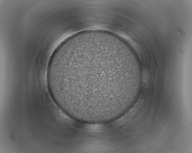 X0000113321278200910051117