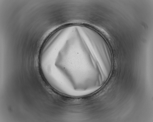 X0000113321279200910051117