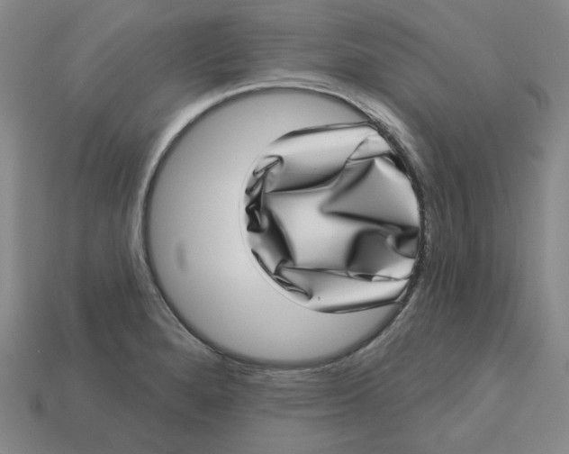 X0000113321280200910051117