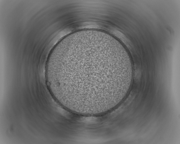 X0000113321282200910051117