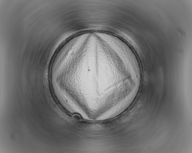 X0000113321283200910051117