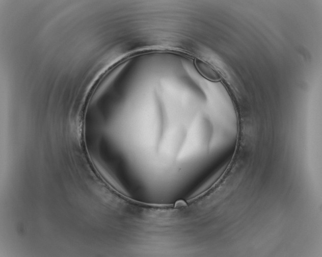 X0000113321284200910051117