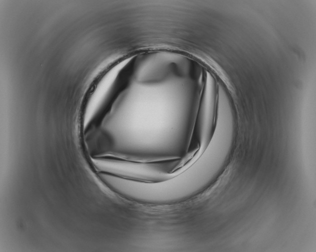 X0000113321285200910051117