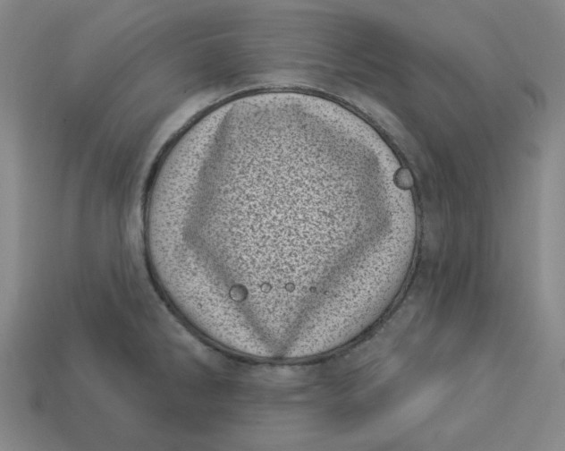 X0000113321286200910051117