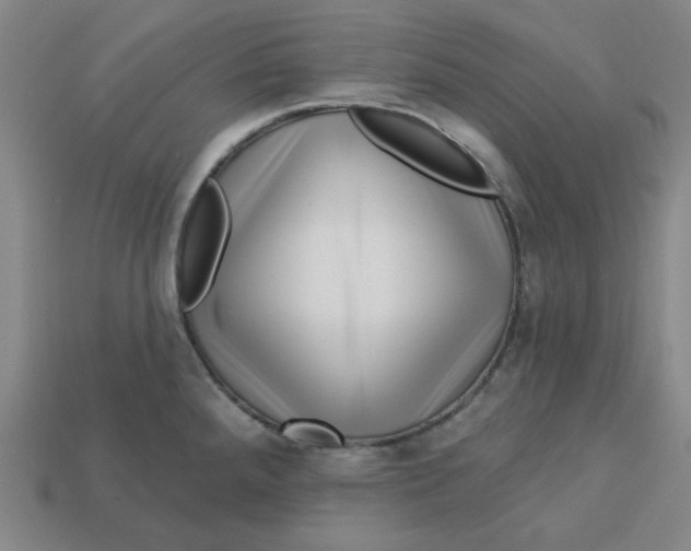 X0000113321288200910051117