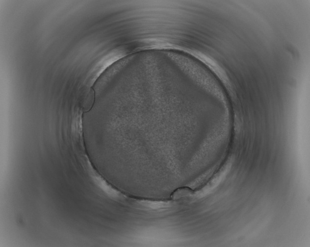 X0000113321289200910051117