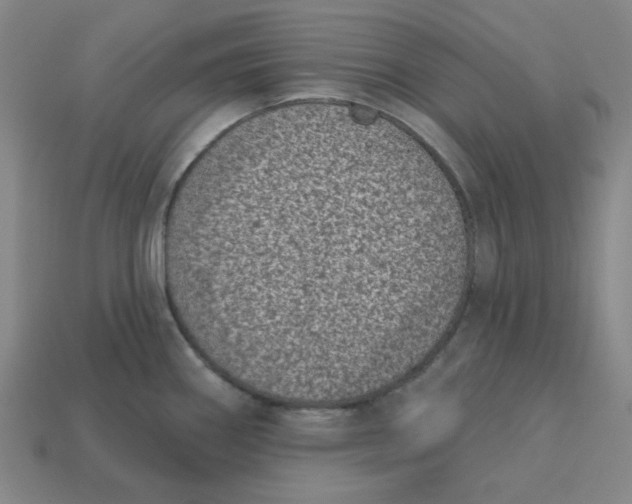 X0000113321290200910051117