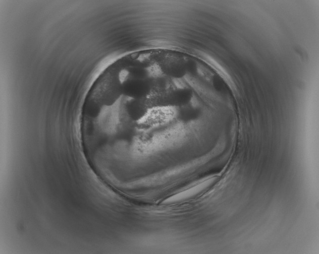 X0000113321291200910051117