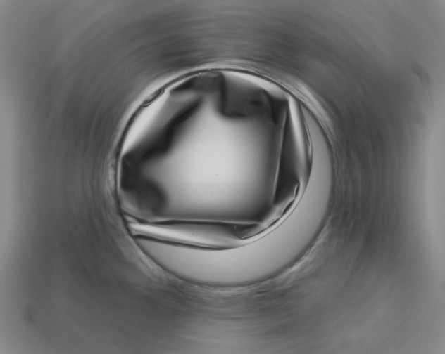 X0000113321292200910051117