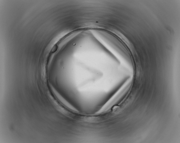 X0000113321293200910051117