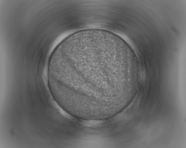 X0000113321294200910051117