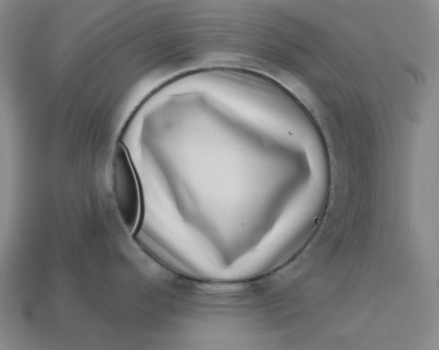 X0000113321296200910051117