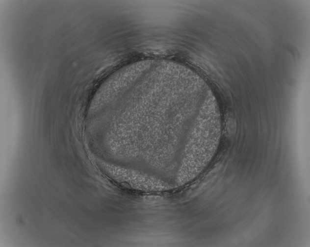 X0000113321297200910051116