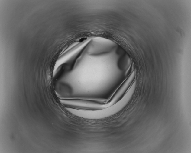 X0000113321298200910051116