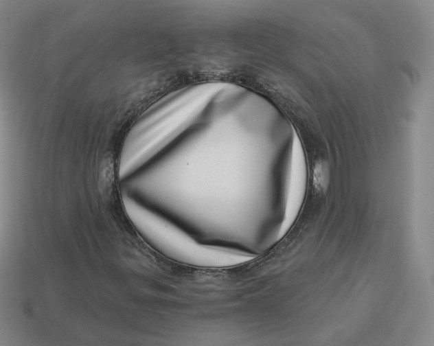 X0000113321299200910051116