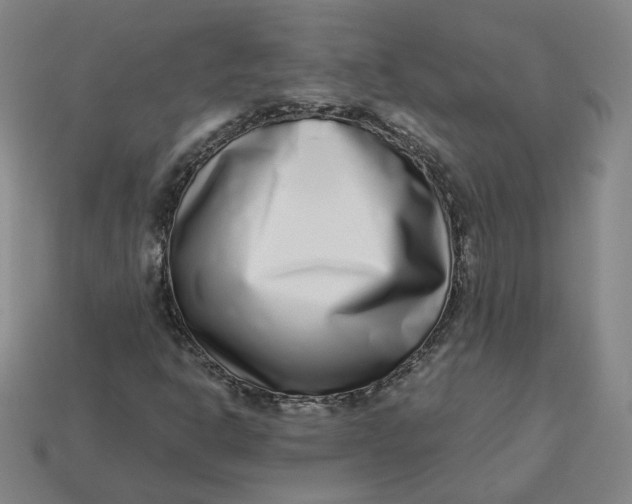 X0000113321302200910051116