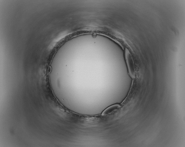 X0000113321304200910051116