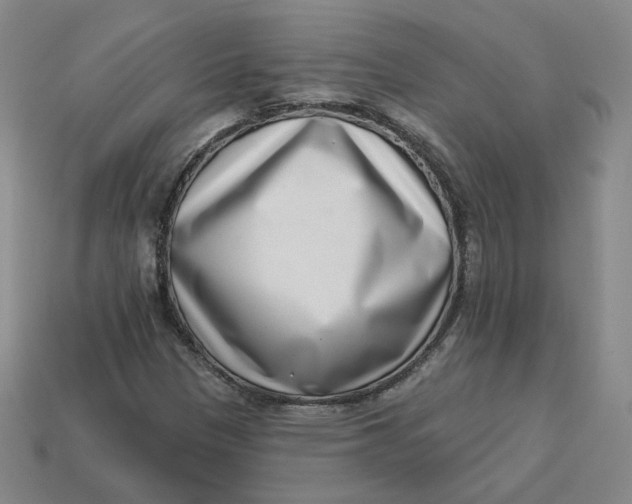 X0000113321305200910051116