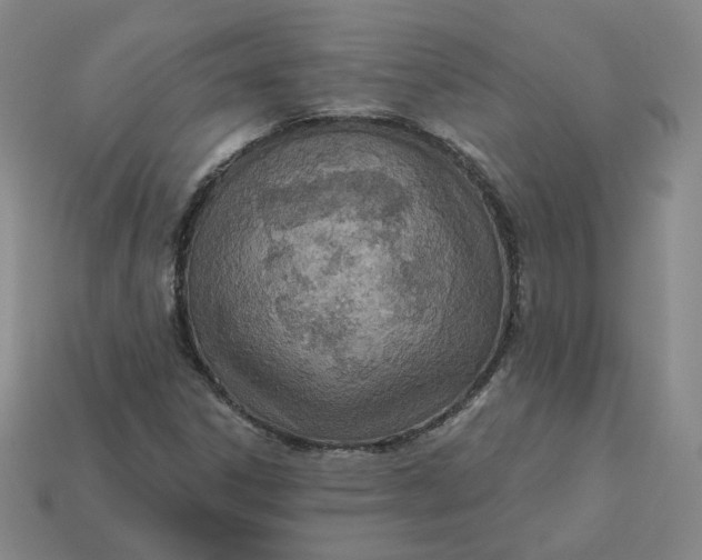 X0000113321306200910051117