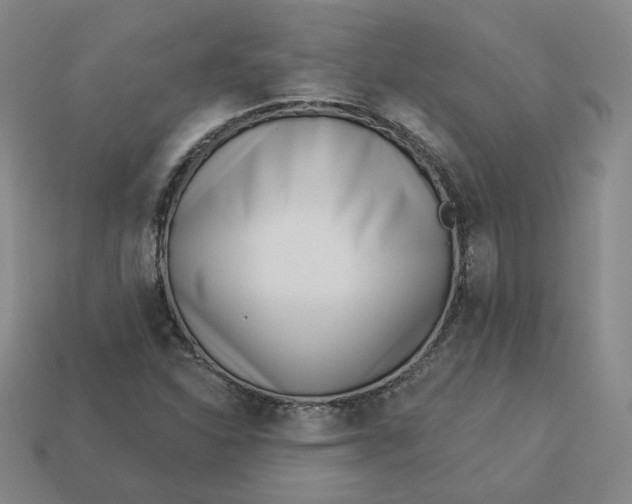 X0000113321310200910051117