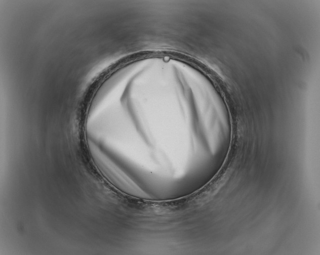 X0000113321311200910051117