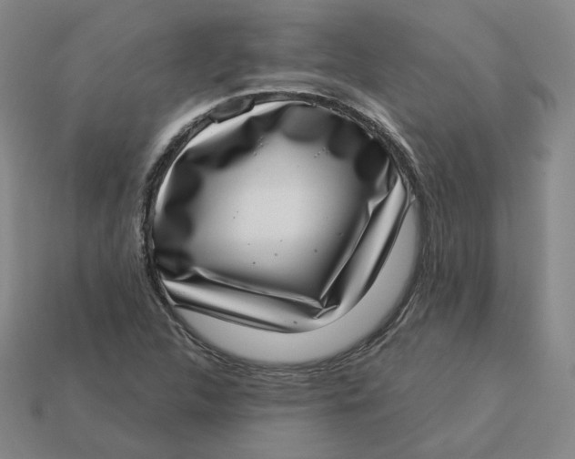 X0000113321312200910051117