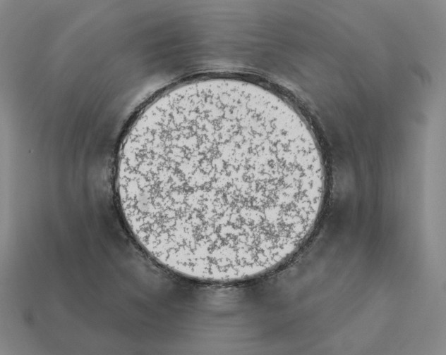 X0000113321314200910051117