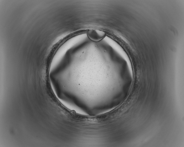 X0000113321315200910051117