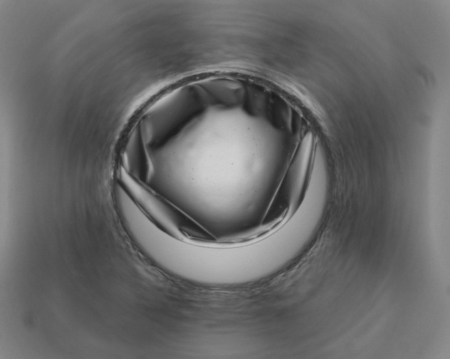 X0000113321316200910051117