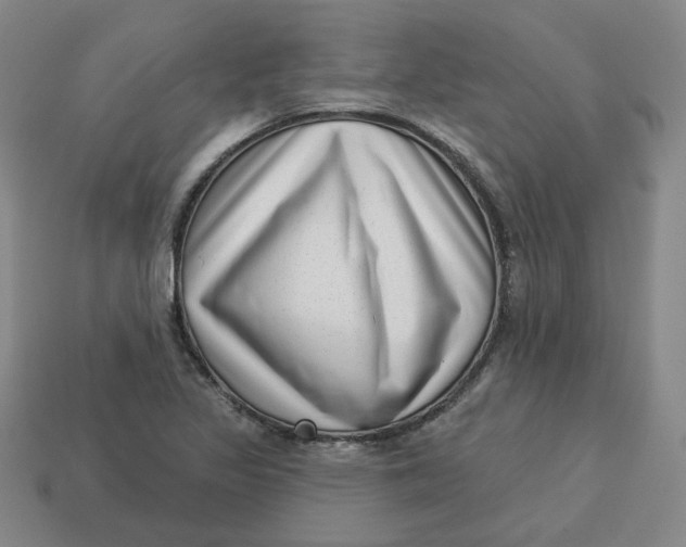 X0000113321317200910051117