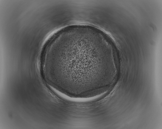 X0000113321319200910051117