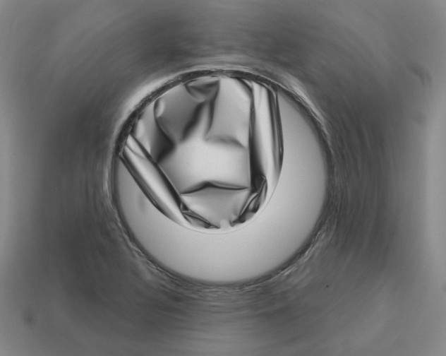 X0000113321320200910051117