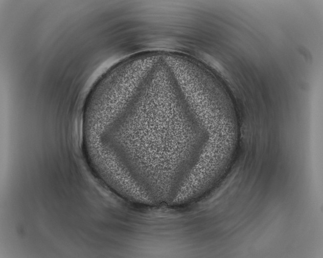 X0000113321323200910051117