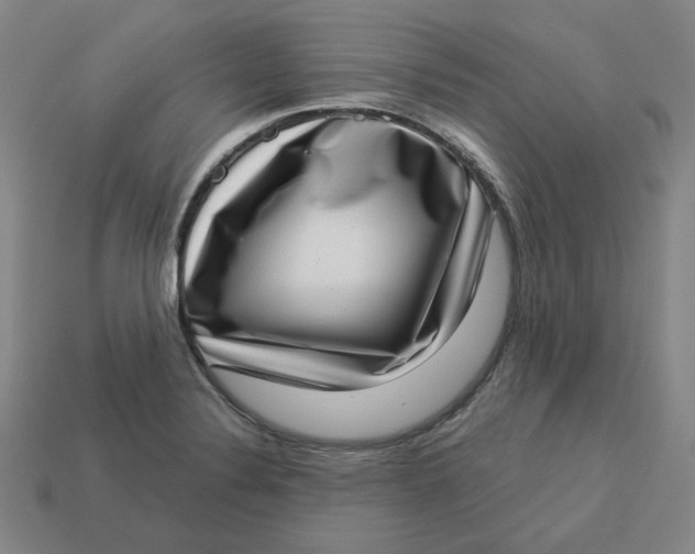 X0000113321324200910051117