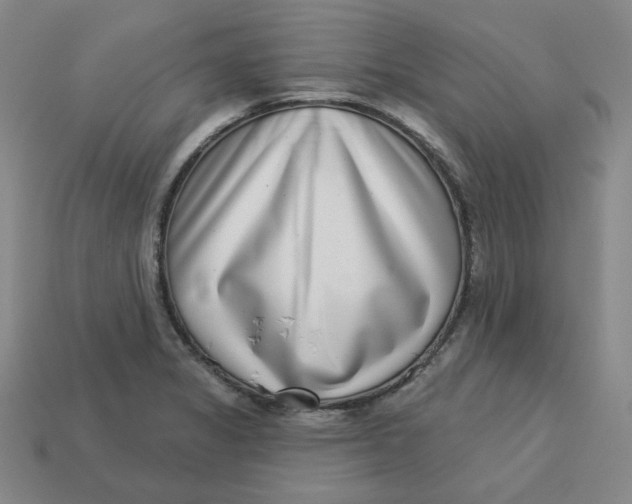 X0000113321325200910051117