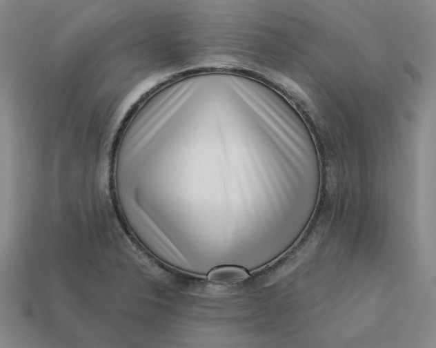 X0000113321326200910051117