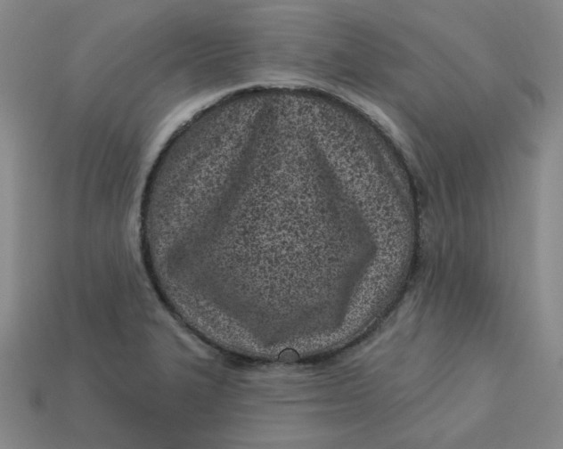 X0000113321327200910051117