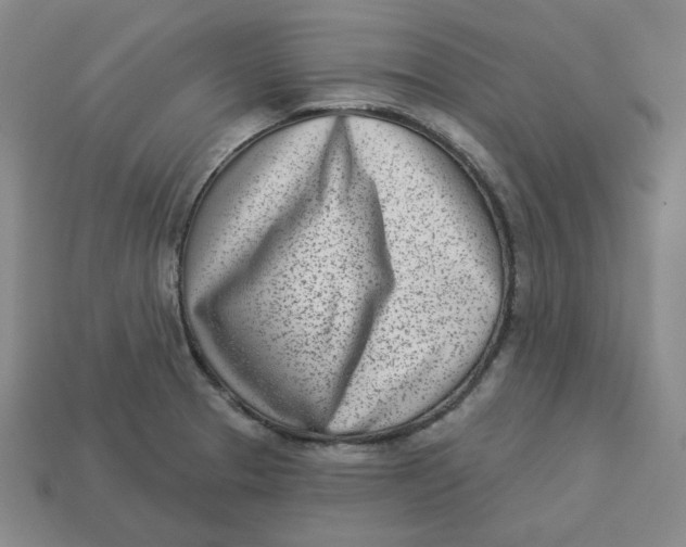 X0000113321329200910051117