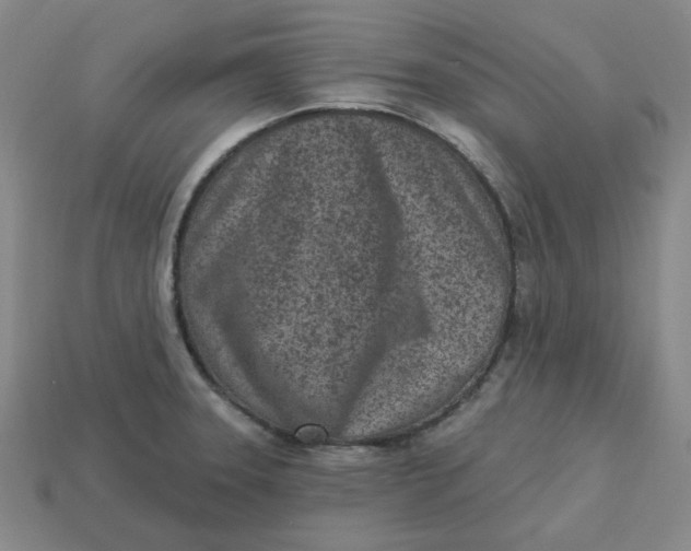 X0000113321331200910051117