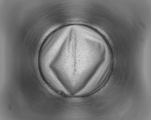 X0000113321333200910051117