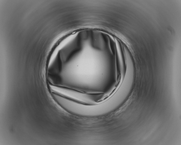 X0000113321334200910051117