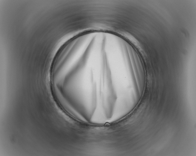 X0000113321335200910051117