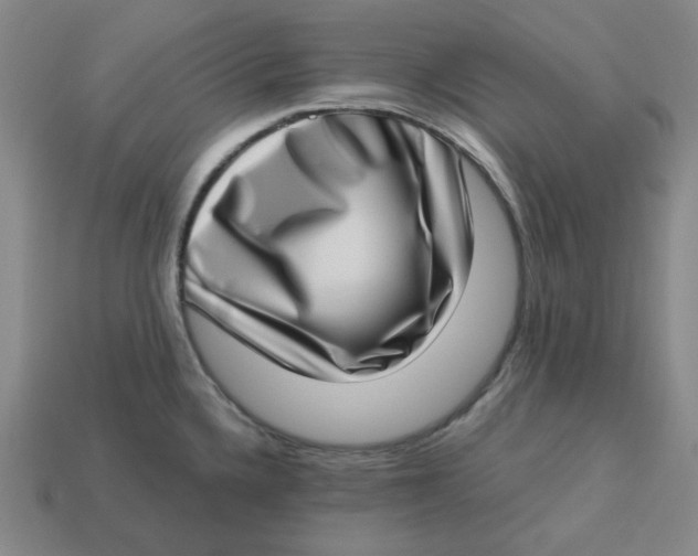 X0000113321336200910051117