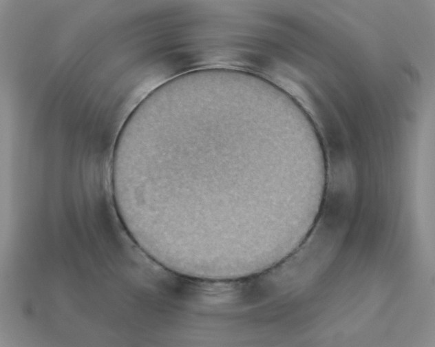 X0000113321338200910051117