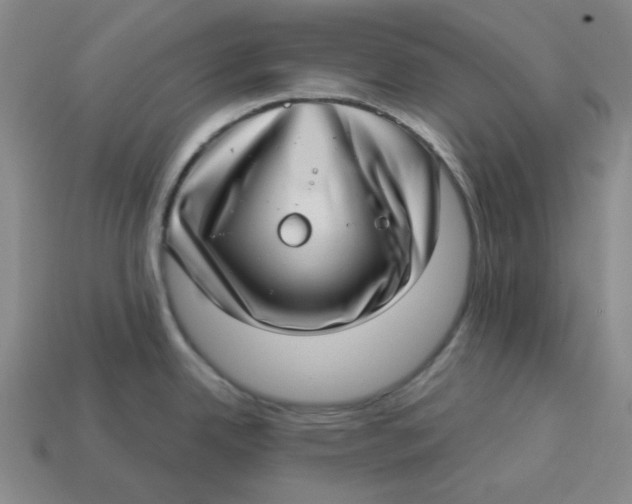 X0000113321342200910051117