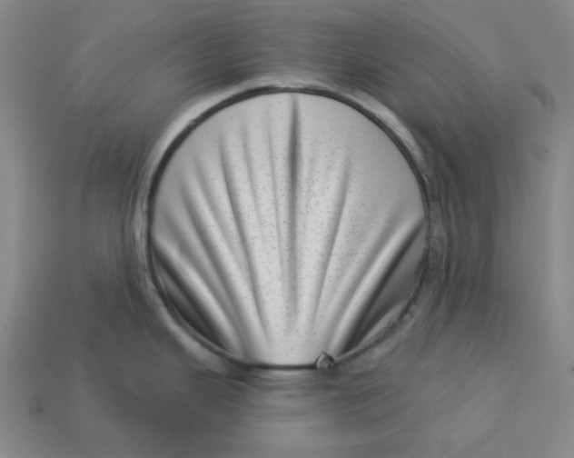 X0000113321343200910051117