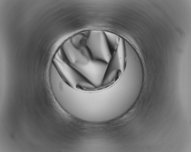 X0000113321344200910051117