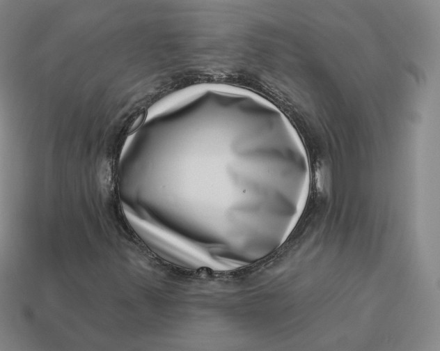 X0000113321347200910051116